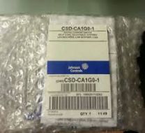 CSDCA1G01.jpg
